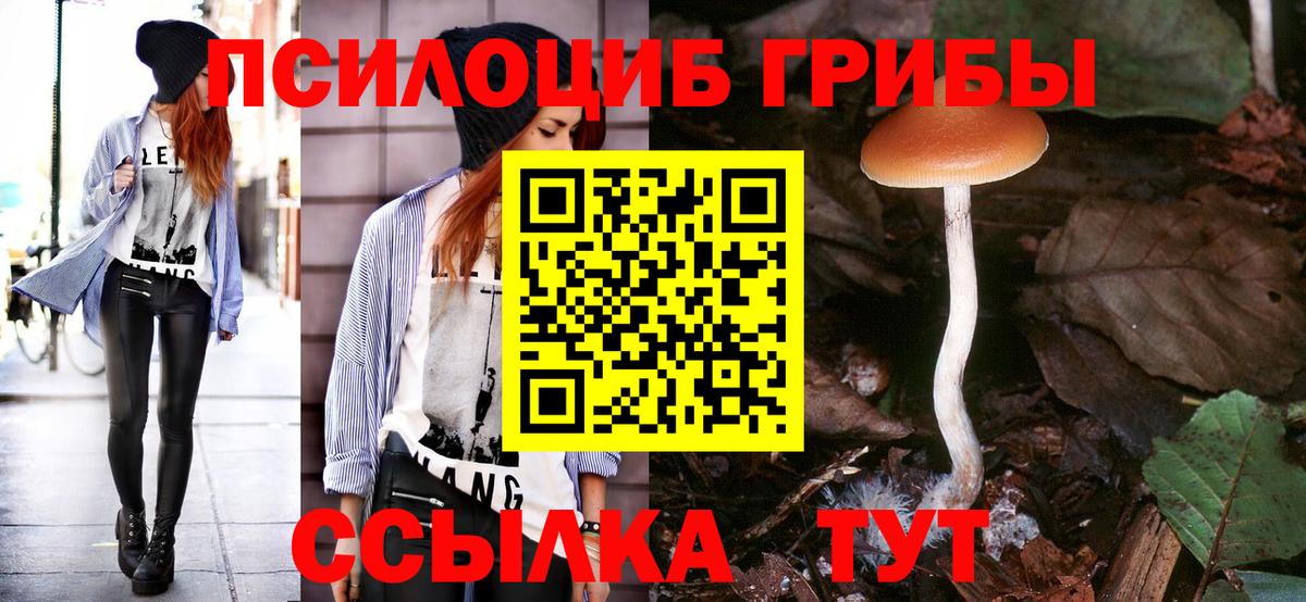 Галлюциногенные грибы Cubensis Анжеро-Судженск