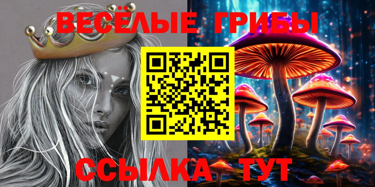 Псилоцибиновые грибы прущие грибы  Галлюциногенные грибы Psilocybine cubensis  Анжеро-Судженск  Вход с VPN 